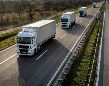ERP de transportes por carretera